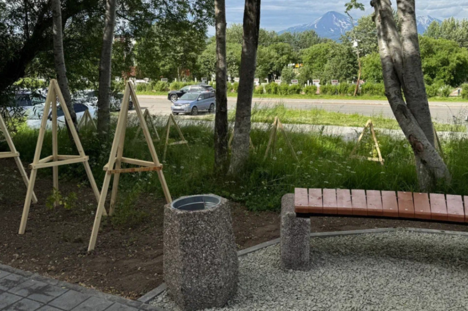 В Петропавловске-Камчатском стартует обновленная  программа «Город 20/30» . Фото: kamgov.ru (архив). Фотография 3