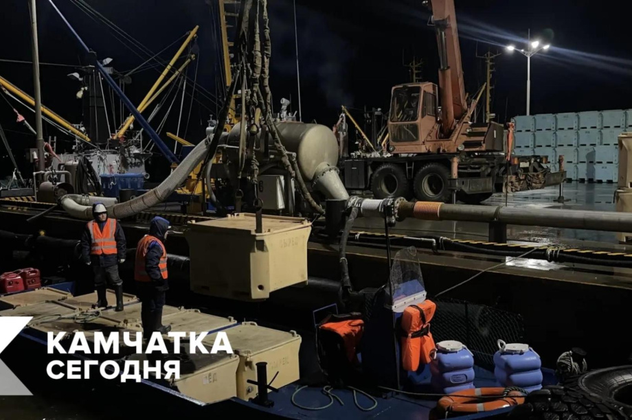 На Камчатке добыли 14 тонн лососей . . Фотография 1