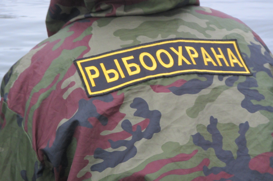 «Улов» инспекторов рыбоохраны за неделю: 130 выявленных нарушений и более 90 кг изъятой рыбы. СВТУ Росрыболовства